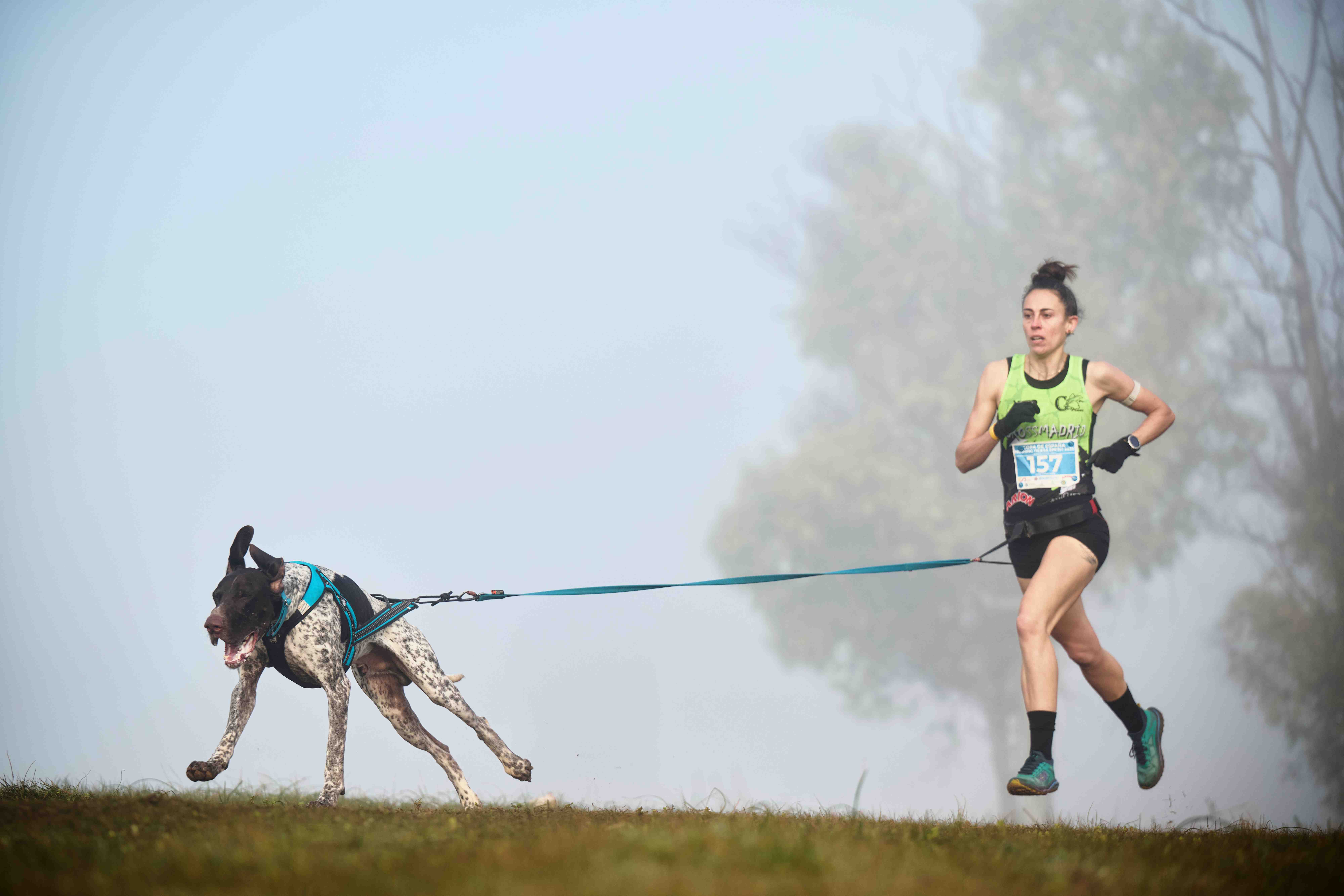 Canicross Primaveral